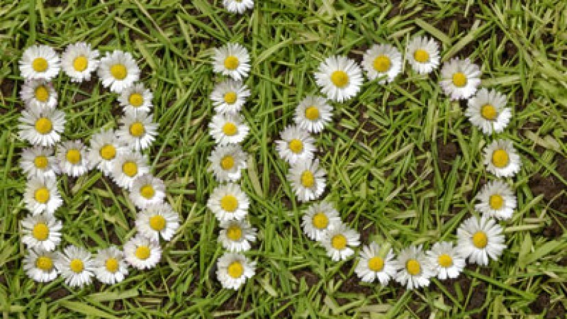 Biofesték? Na ne! Biofesték? Na ne!