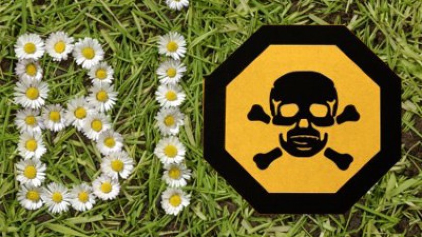 Természetes festék, biofesték és a többiek Természetes festék, biofesték és a többiek